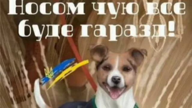 Доброго ранку! Носом чую все буде гаразд!