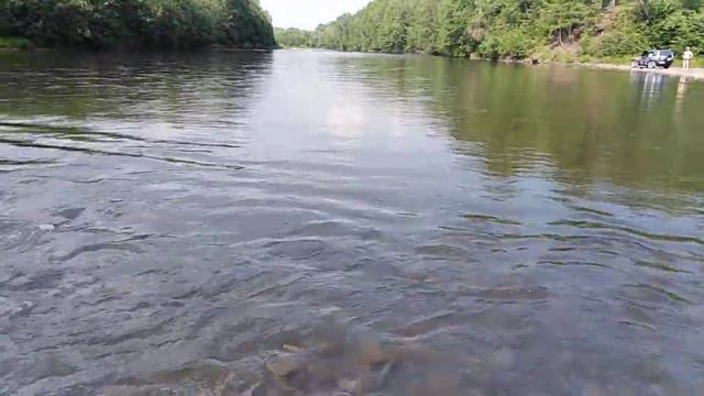 Река Ургал, Верхнебуреинский район, Средний Ургал смотреть онлайн