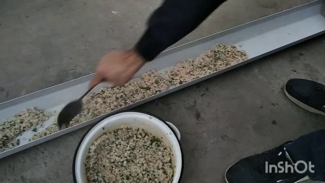 Кормление кур несушек.Чем полезна перловая крупа для кур? смотреть онлайн