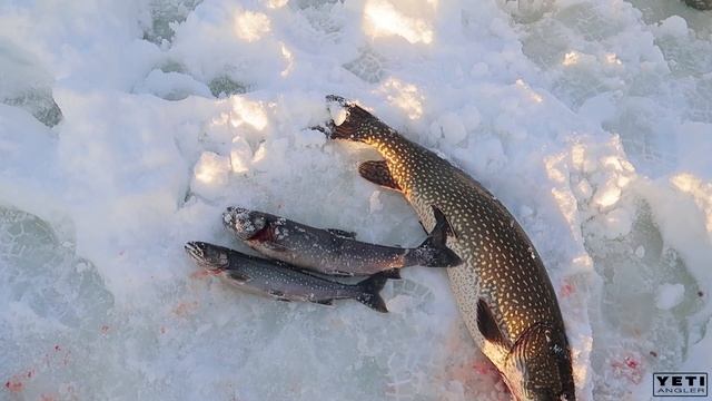 А багорик мог бы понадобиться. Часть 3. Гольцовый марафон.