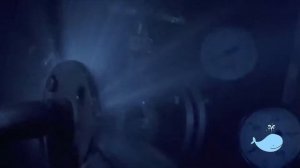 При включении насоса выбивает автомат. Выясняем причину