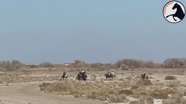 Хожелиде байге 12-ноябрь 2023 смотреть онлайн