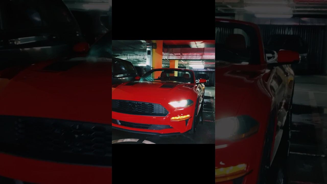 МУЖ подарил МАШИНУ ✅ #автомобиль #мустанг #кабриолет #подарок #любимая смотреть онлайн