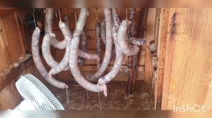 Колбаса холодного копчения . Просто , дёшево и пипец как вкусно!!!?