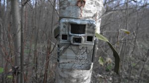 Фотоловушка SEELOK S308W