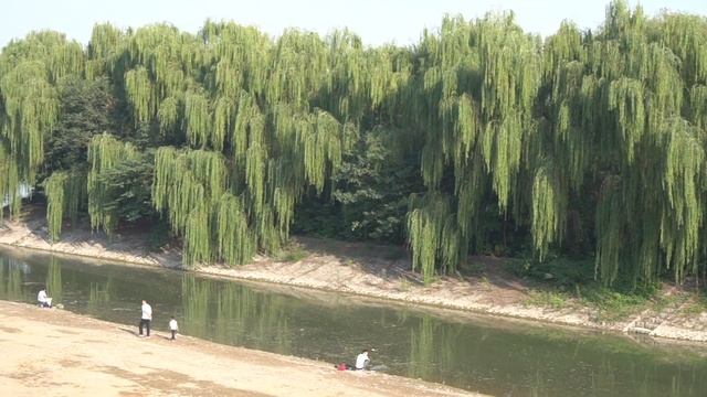 Лоян Столица пионов Личные впечатления смотреть онлайн