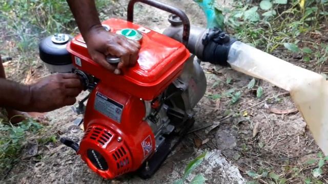 Irrigation In Village By Honda Waterpump GK200 | Brinjal Flood Irrigation In Village