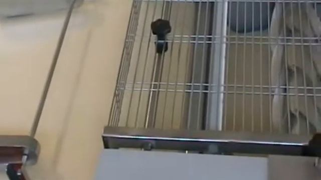 ZMATIK (Италия) круассаномат.flv смотреть онлайн