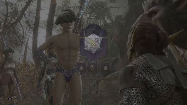 Baldur's Gate 3 with nothing but Rangers смотреть онлайн