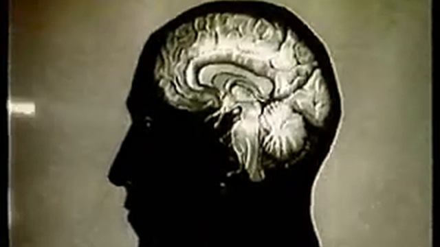 Создание учения о ВНД. Рефлексы смотреть онлайн