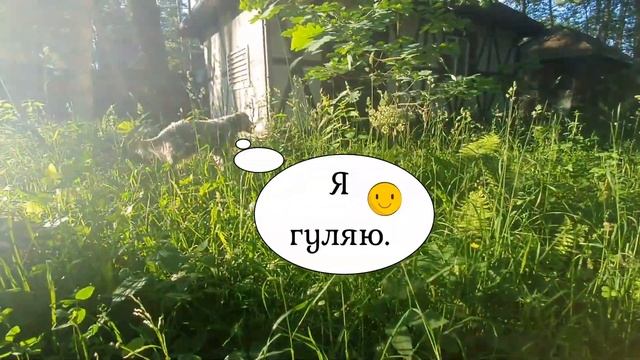 ЛИ СЯО. Алиса - Лиса. Очень важное дело лисы, касающееся Белого. смотреть онлайн