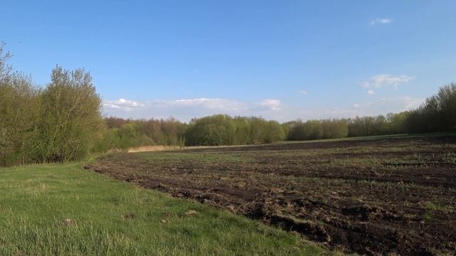 БУДНИ ДЕРЕВЕНЩИНЫ // Сеем траву трактором МТЗ-80 // 24 часа в деревне смотреть онлайн