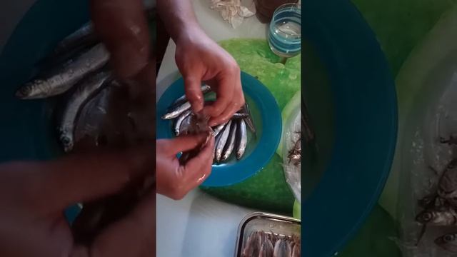 Как правильно чистить свежую рыбку на Черном море смотреть онлайн