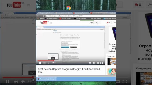 Snagit 12 Testing Screencast Program - Программа для захвата экрана и трансляций