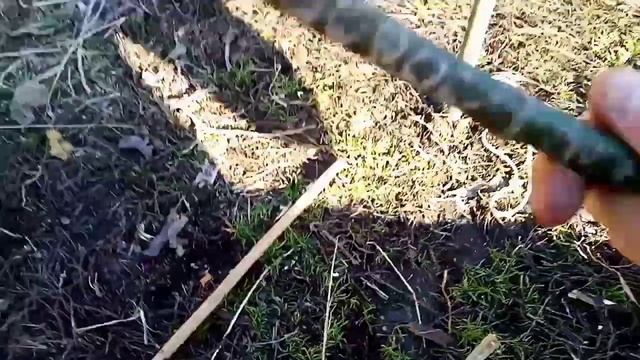 Как сделать ловушку пирамиду для фазана. Как сделать пирамиду на фазана смотреть онлайн