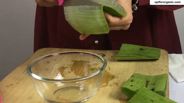 How To Cut Aloe Vera Leaf | DIY Aloe Vera Gel At Home For Best Results смотреть онлайн