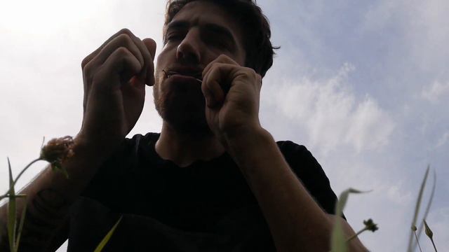 Musique jouer à la guimbarde pour s'ancrer à la terre . смотреть онлайн