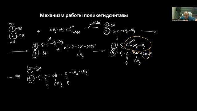 Биотехнология аминогликозидов, макролидов | лекция 5 | Pharm Science смотреть онлайн