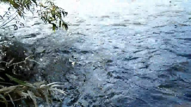 Река Ульба смотреть онлайн