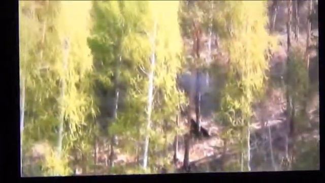 По глади реки Тагил 2 смотреть онлайн