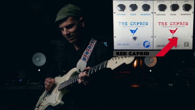 Demos in the Dark // Wren & Cuff Caprid Shootout // Fuzz Pedal Demo смотреть онлайн