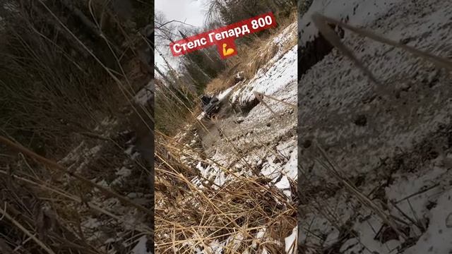 Стелс Гепард 800 ? смотреть онлайн