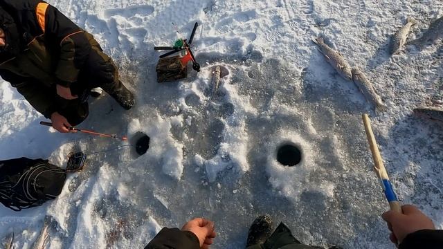 КАМЧАТКА - РЫБАЦКИЙ РАЙ \ ОТКРЫТИЕ СЕЗОНА 2022 - 2023 \ #6 \ ВТОРОЙ ДЕНЬ \ УЛОВ ЕЩЁ ЛУЧШЕ