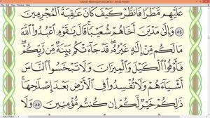 Шейх Айман Сувейд сура Аль Араф стр 161