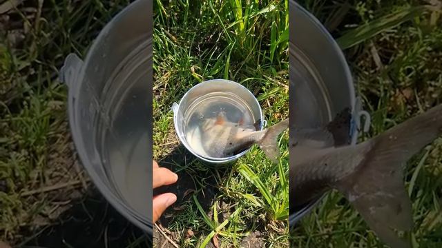 Ракурс решает вопросы😅