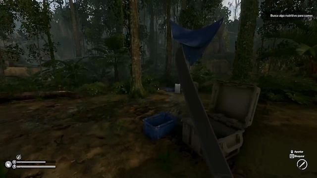 NUEVA SERIE SURVIVAL. GREEN HELL. DIA 1-3# PRIMEROS PASOS! смотреть онлайн