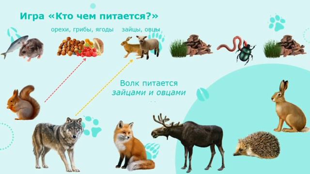 Дикие животные смотреть онлайн