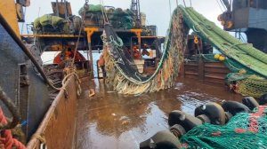 Подъем трала