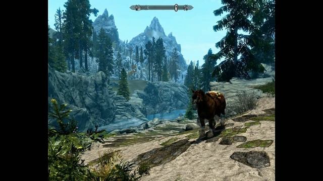 Skyrim ПРОКАЧИВАЕМ СКРЫТНОСТЬ на 100 смотреть онлайн
