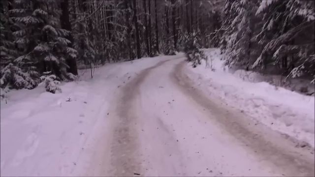 ОХОТА С РУССКИМИ ГОНЧИМИ - ч.п/ч. Сигнал (Плакуня) и Свирель 1г.9 мес. вл. Шатров В.А. смотреть онлайн