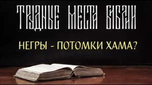 Все чернокожие - потомки Хама?