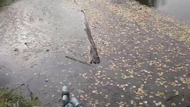 Уборка реки Самаринка| Чистый берег | Одинцовский округ смотреть онлайн