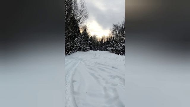 YouCut_20221216_160735124.mp4