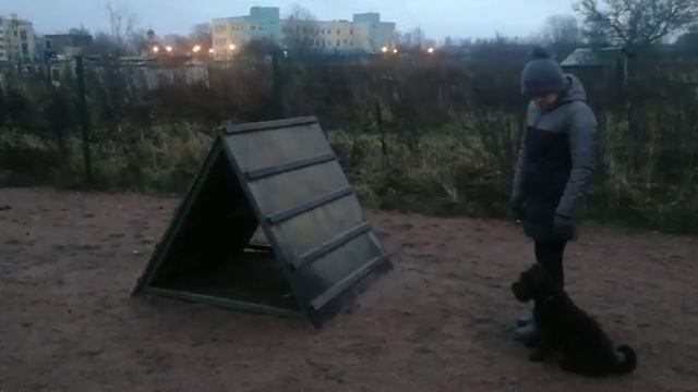Занятие на площадке. Горка. смотреть онлайн