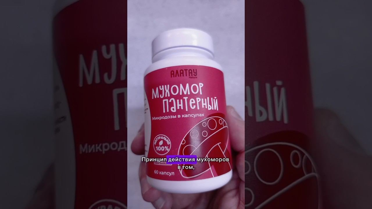 Всё про гриб Мухомор Пантерный сушёный Чем отличается от красного Эффект Отзывы Свойства Цена Купить смотреть онлайн