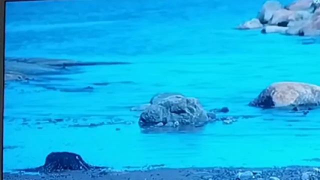 НАЧАЛО НОВОГО БУДУЩЕГО с VERTERA (СМИ о строительстве второго завода в Карелии) смотреть онлайн