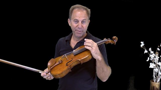 Two Bridge Comparison Evah Pirazzi Gold strings Soloist Violin for Harry смотреть онлайн