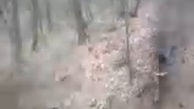 dh freeride drop vue du ciel смотреть онлайн