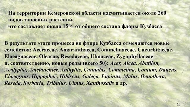 BLACK-LIST КЕМЕРОВСКОЙ ОБЛАСТИ смотреть онлайн