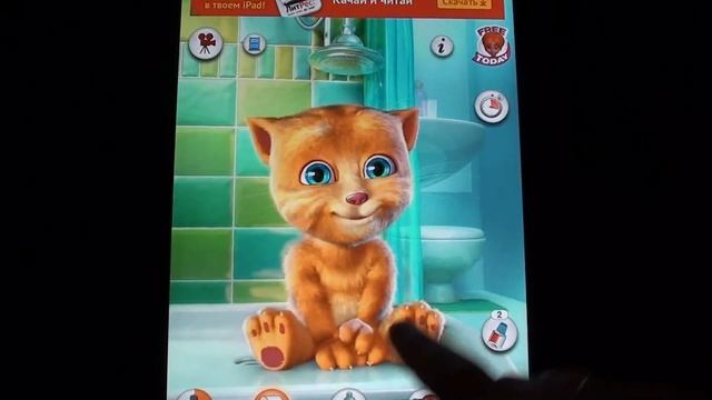 Talking Ginger (Говорящий Рыжик)