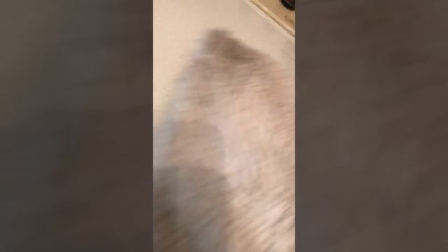 Чистим пуховик от жирных пятен смотреть онлайн