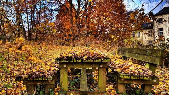 Геннадий Дементьев  Алена