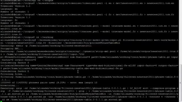 Moses installation on Ubuntu 16.04 - Part 13: Translation (testing) смотреть онлайн