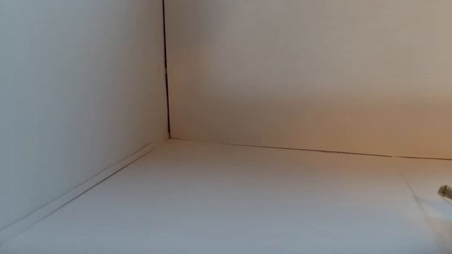 ГРИМ НА ХЕЛЛОУИН смотреть онлайн