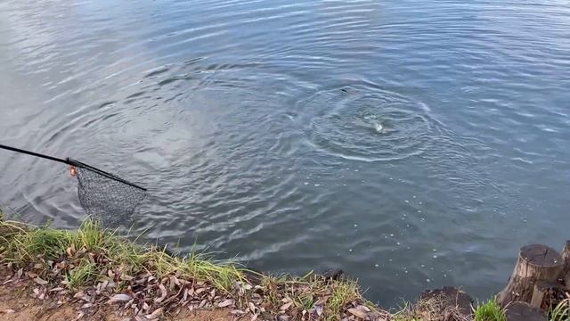 07.11.21 Рупасовский пруд. смотреть онлайн