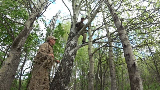 КАК ПОЙМАТЬ БРОДЯЧИЙ РОЙ, СЕКРЕТЫ СТАРОГО РОЕЛОВА, УЛОВИСТЫЕ МЕСТА смотреть онлайн